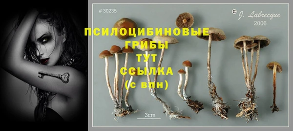 прущие крисы Абаза
